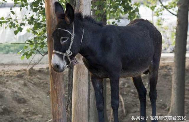 陜西特色小吃——鳳翔臘驢肉