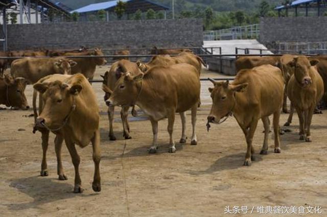 陜西特色小吃——西鄉(xiāng)牛肉干