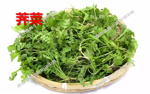 薺菜