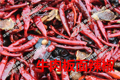 牛肉板面培訓